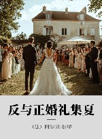 反与正婚礼集夏 封面