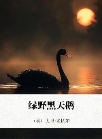 绿野黑天鹅 封面