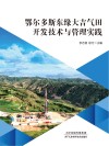 鄂尔多斯东缘大吉气田开发技术与管理实践 封面