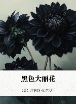 黑色大丽花 封面
