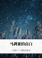 马利亚的自白 封面