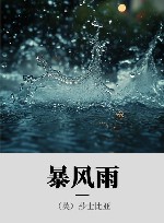 暴风雨 封面