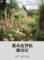 赛查皮罗托盛衰记 封面