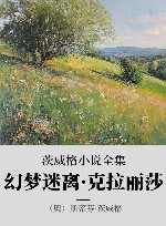 茨威格小说全集 4 幻梦迷离·克拉丽莎 封面