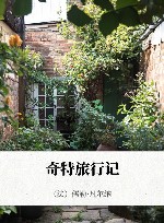 奇特旅行记 封面