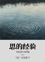 思的经验 1910-1976 封面