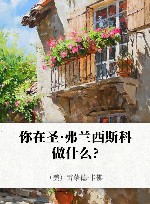 你在圣·弗兰西斯科做什么? 封面