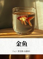 金鱼 封面