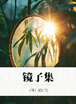 镜子集 封面