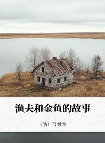 渔夫和金鱼的故事 封面