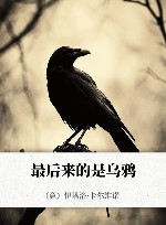 最后来的是乌鸦 封面