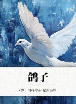 鸽子 封面