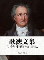 歌德文集  6  少年维特的烦恼  亲和力 封面