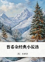 普希金经典小说选 封面