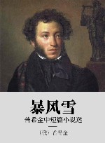 暴风雪  普希金中短篇小说选 封面