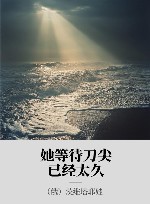 她等待刀尖已经太久 封面