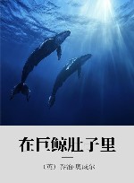 在巨鲸肚子里 封面