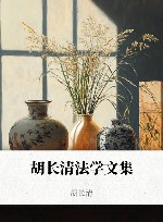 胡长清法学文集 封面