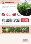 蔬菜病虫害诊治丛书 西瓜甜瓜病虫害诊治图谱 封面