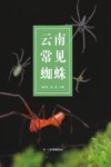 云南常见蜘蛛 封面