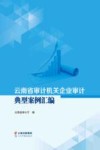 云南省审计机关企业审计典型案例汇编 封面
