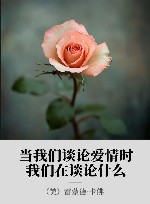 当我们谈论爱情时我们在谈论什么 封面