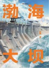 渤海大坝 封面
