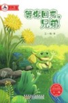 等你回来,兄弟 封面