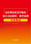 民法典侵权责任编及相关司法解释典型案例分类集成 封面
