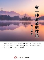 有一种流淌的红色 封面