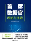 首席数据官 理论与实践 封面