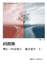 问路集  重构一种新阅读  批评视界  上 封面