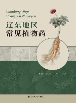 辽东地区常见植物药 封面